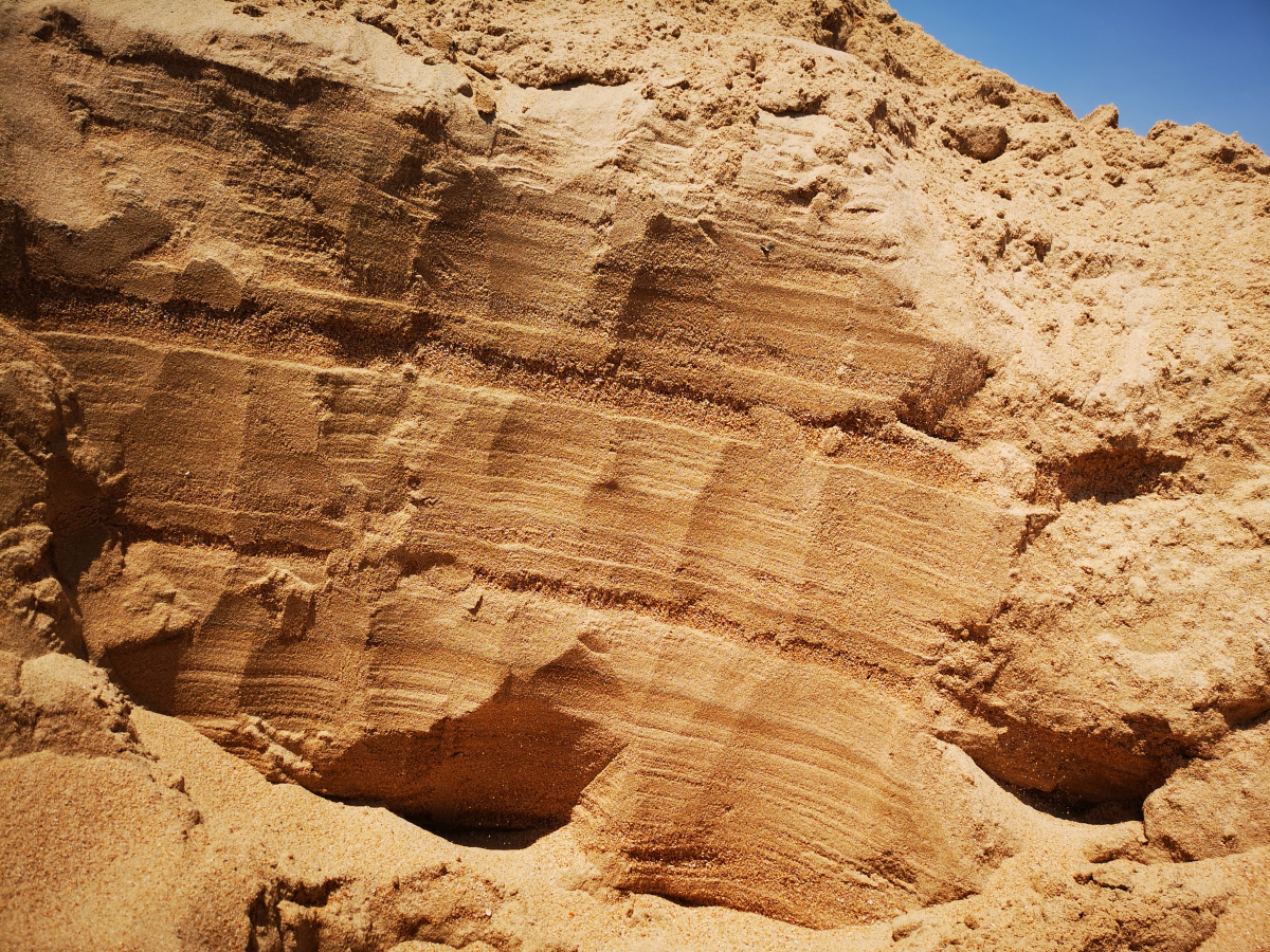 同学们自己挖出的沙坝剖面