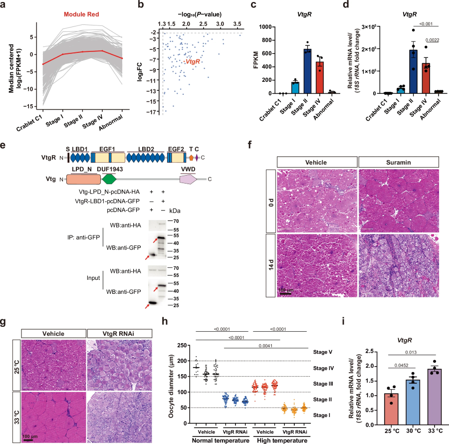 太阳成集团tyc9728