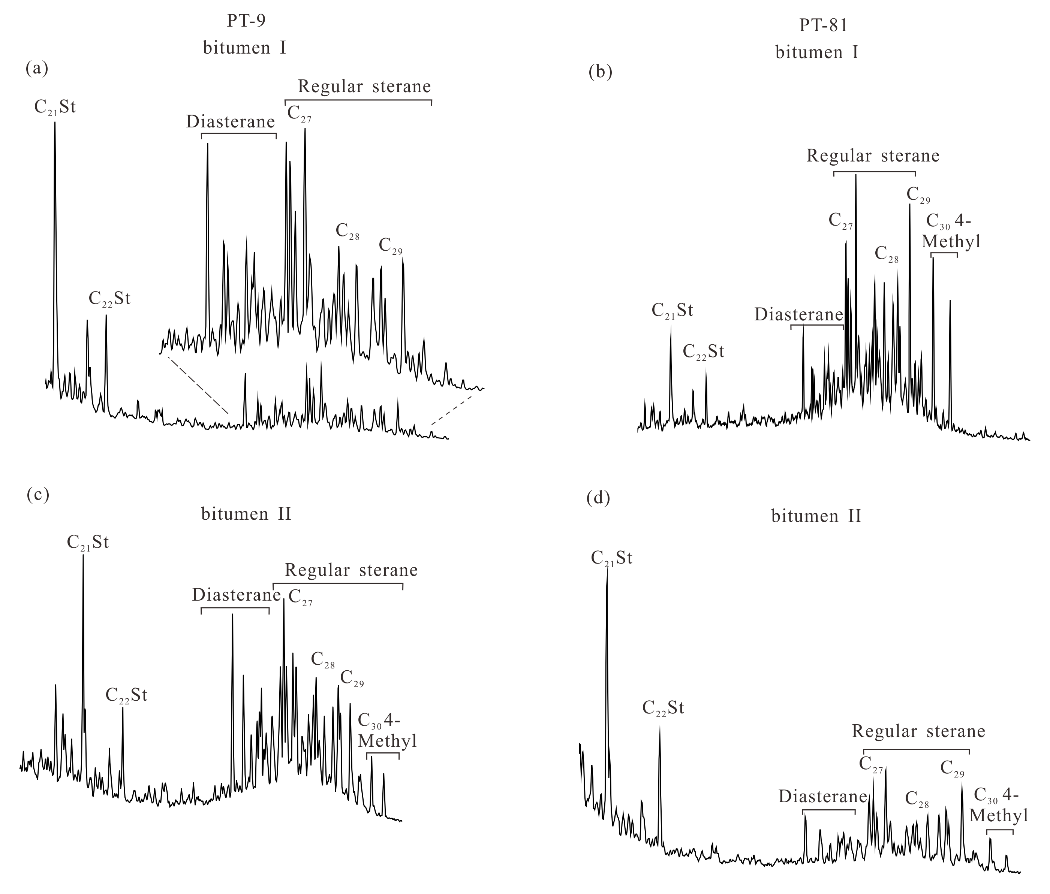 图3 甾烷化合物组成分布