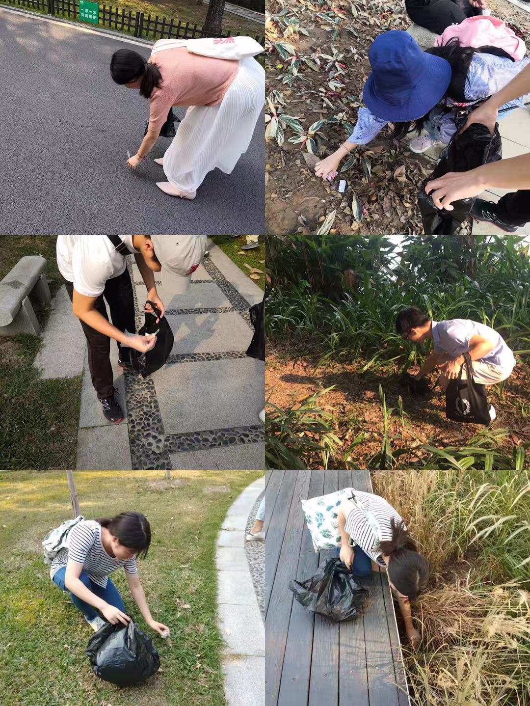 支部成员清理垃圾