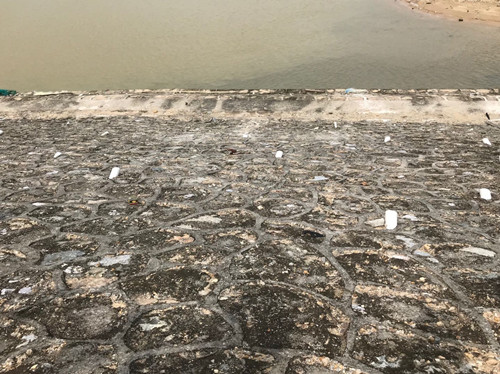 护岸斜堤上用于引流土壤地下水的水管