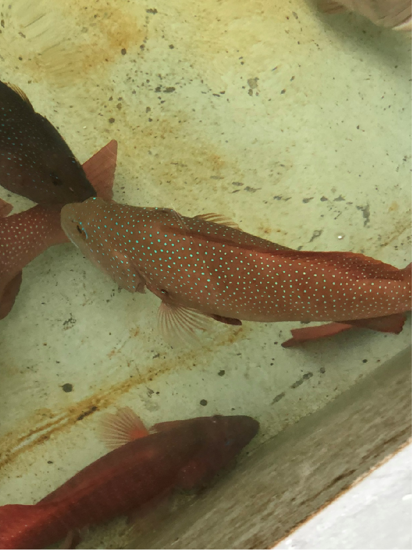 太阳成集团tyc9728