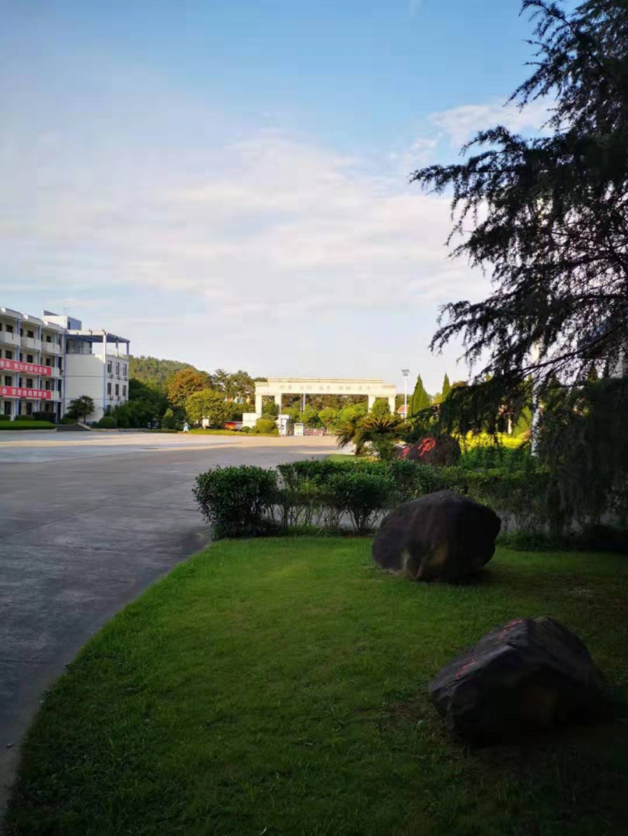 image-20190828210310-6