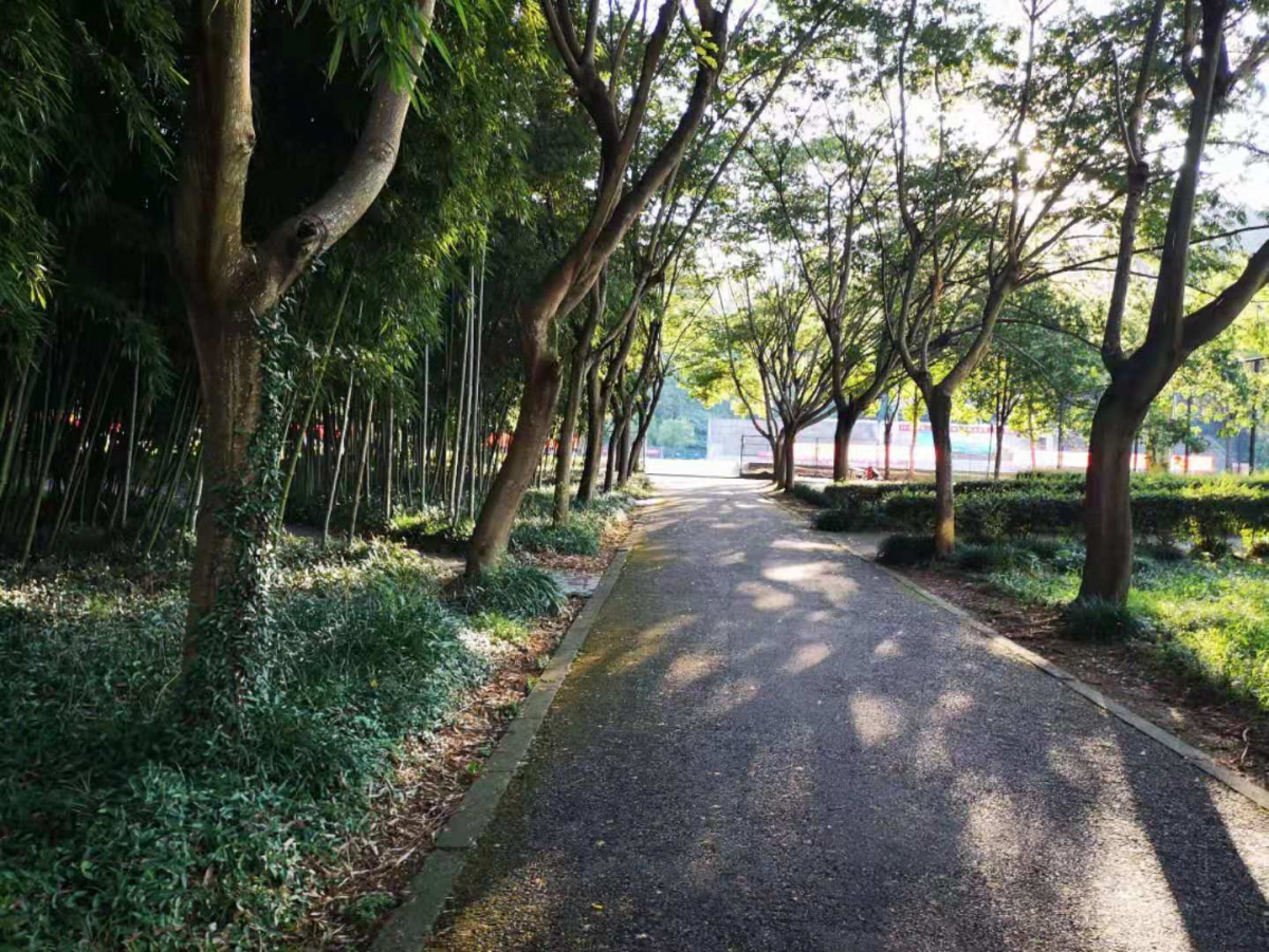 image-20190828210310-7