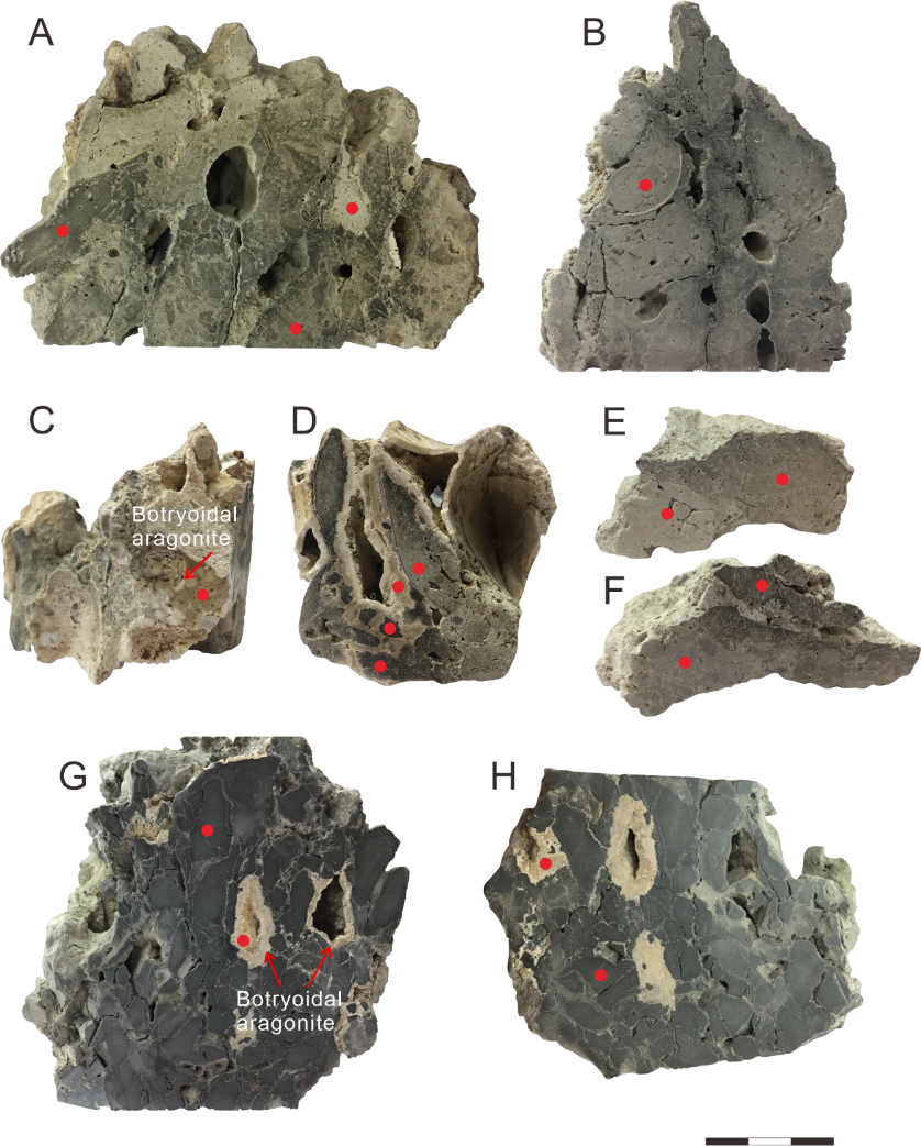 image-20210415104953-1