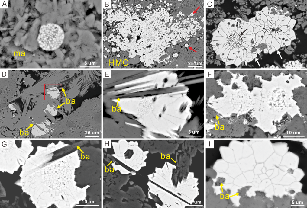 image-20210415104953-2