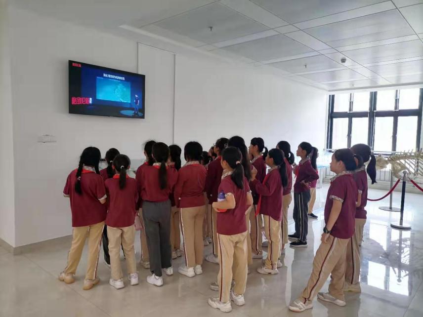 image-20210415111429-3