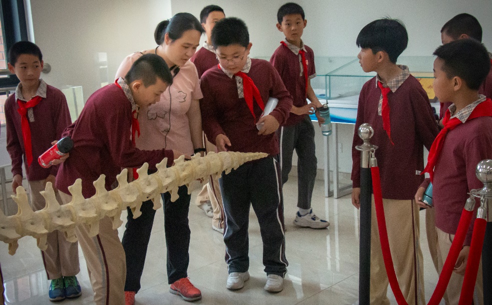 image-20210415111429-4