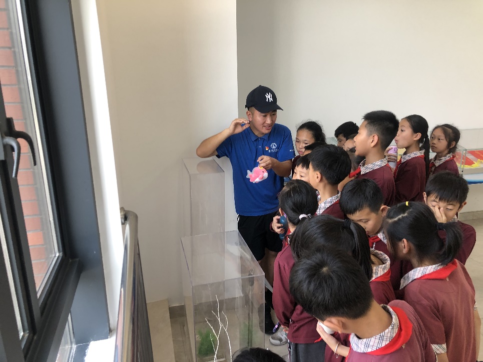 image-20210415111429-5