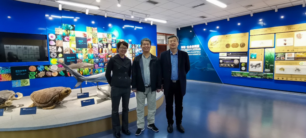 image-20210426173019-3