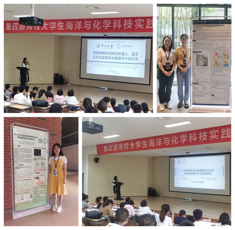 image-20210519094908-4