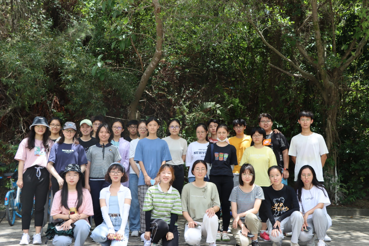 image-20210615164635-11