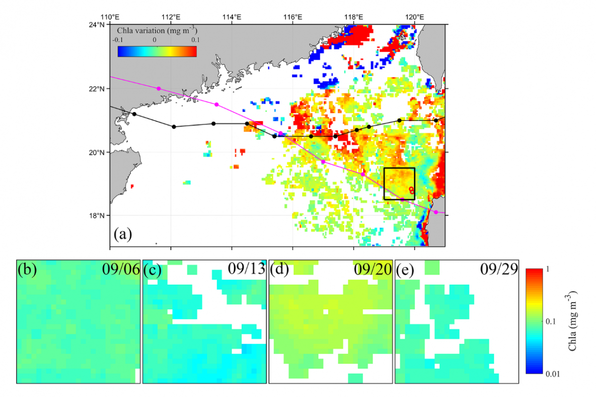 image-20210903111003-2