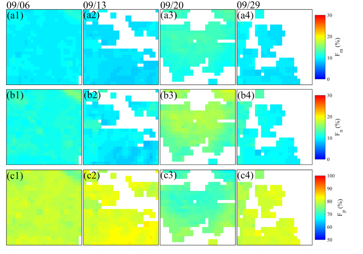 image-20210903111003-3