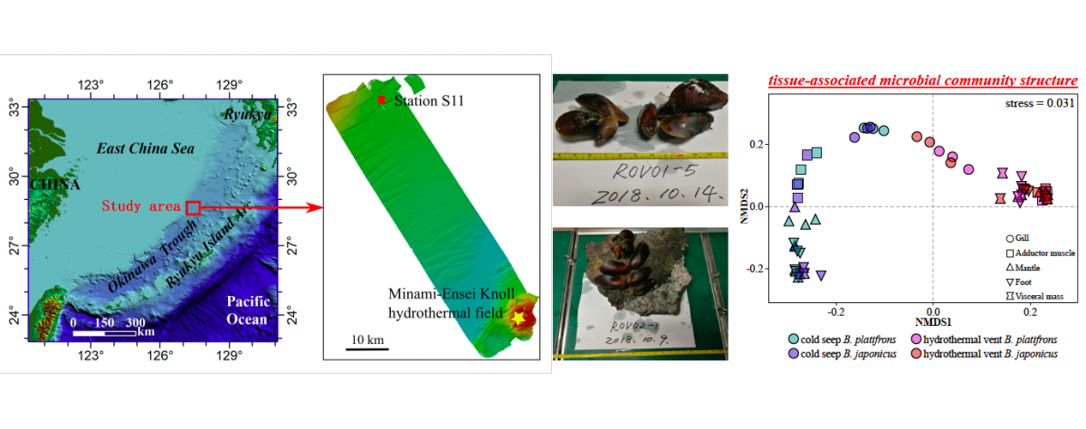 image-20210903112523-1