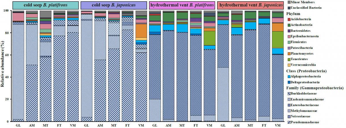 image-20210903112523-2