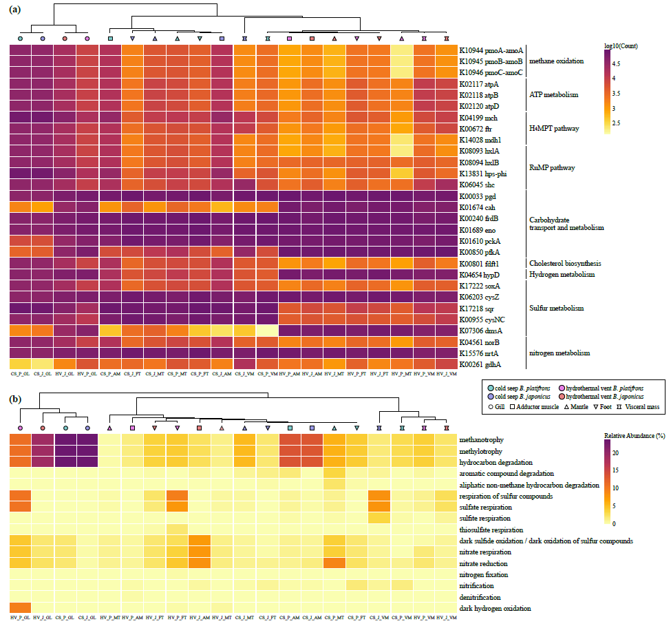 image-20210903112523-3