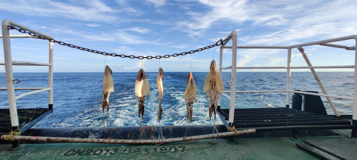 image-20210903113611-9