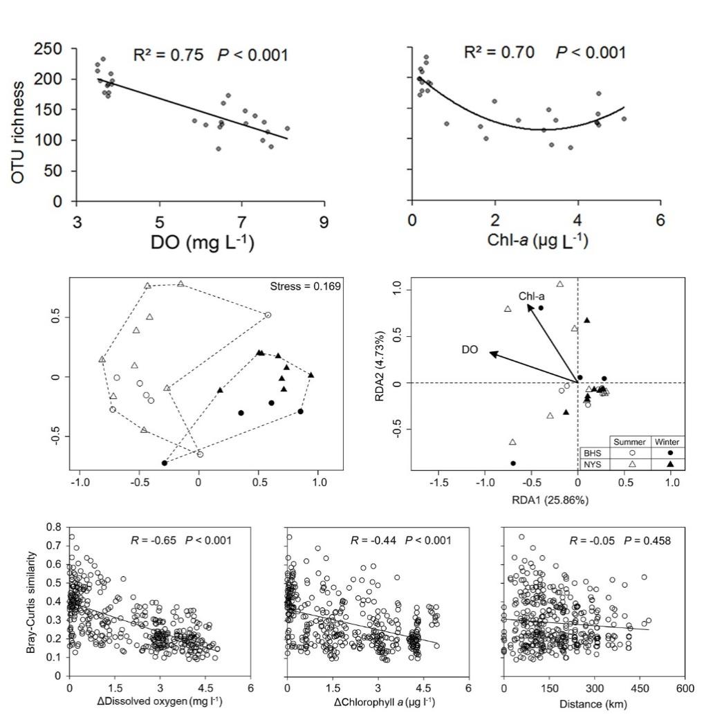 image-20210903115943-1