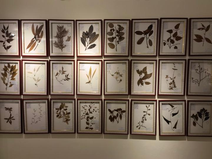 image-20210903121549-19