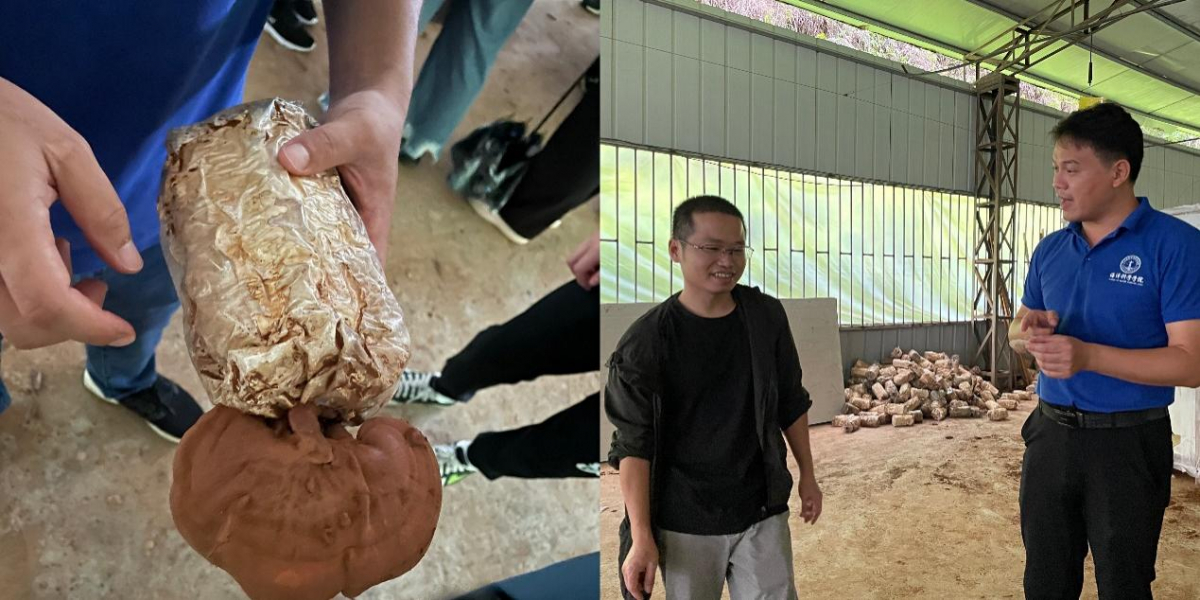 image-20210903121549-21