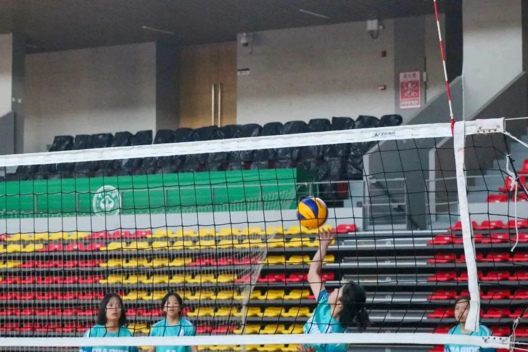 image-20230424224604-5