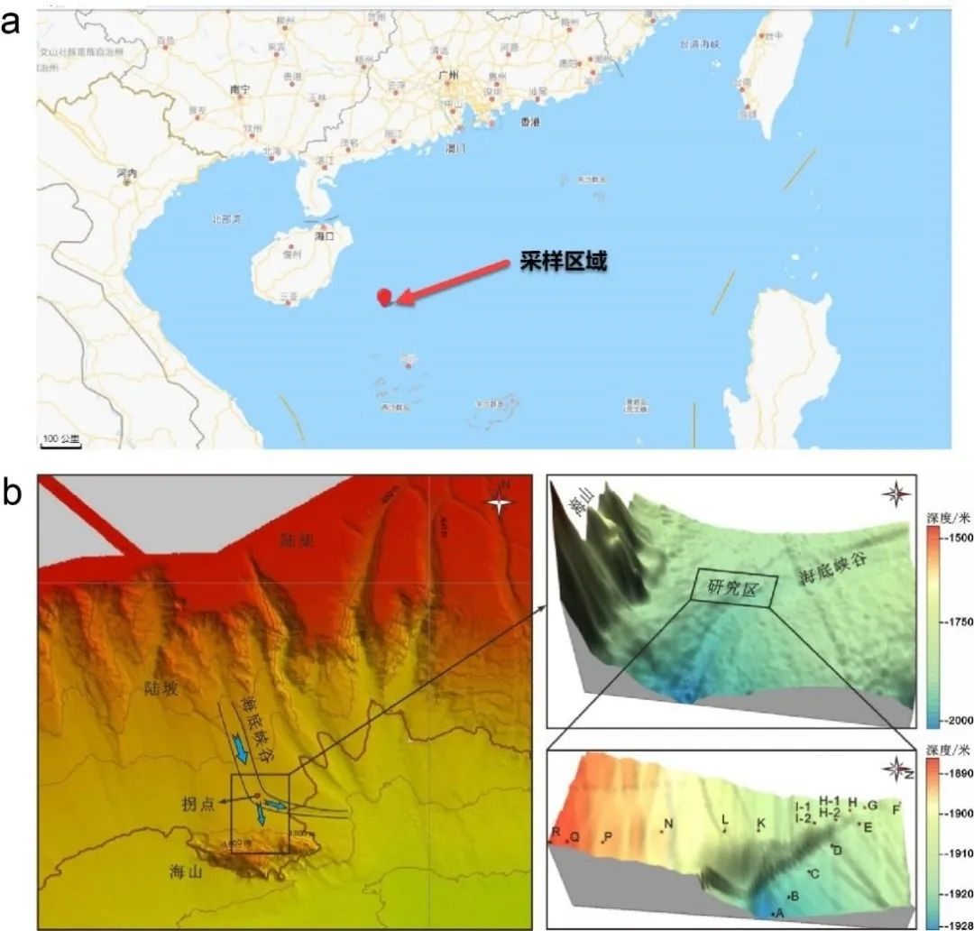 image-20230424234059-1