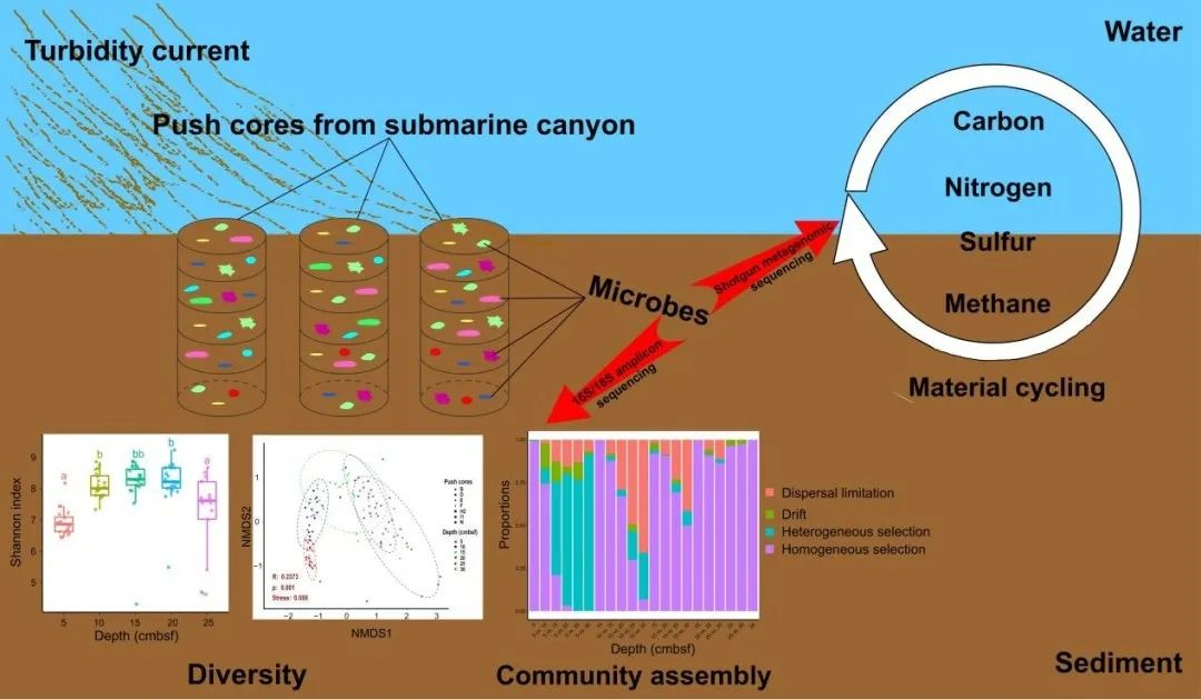 image-20230424234257-2