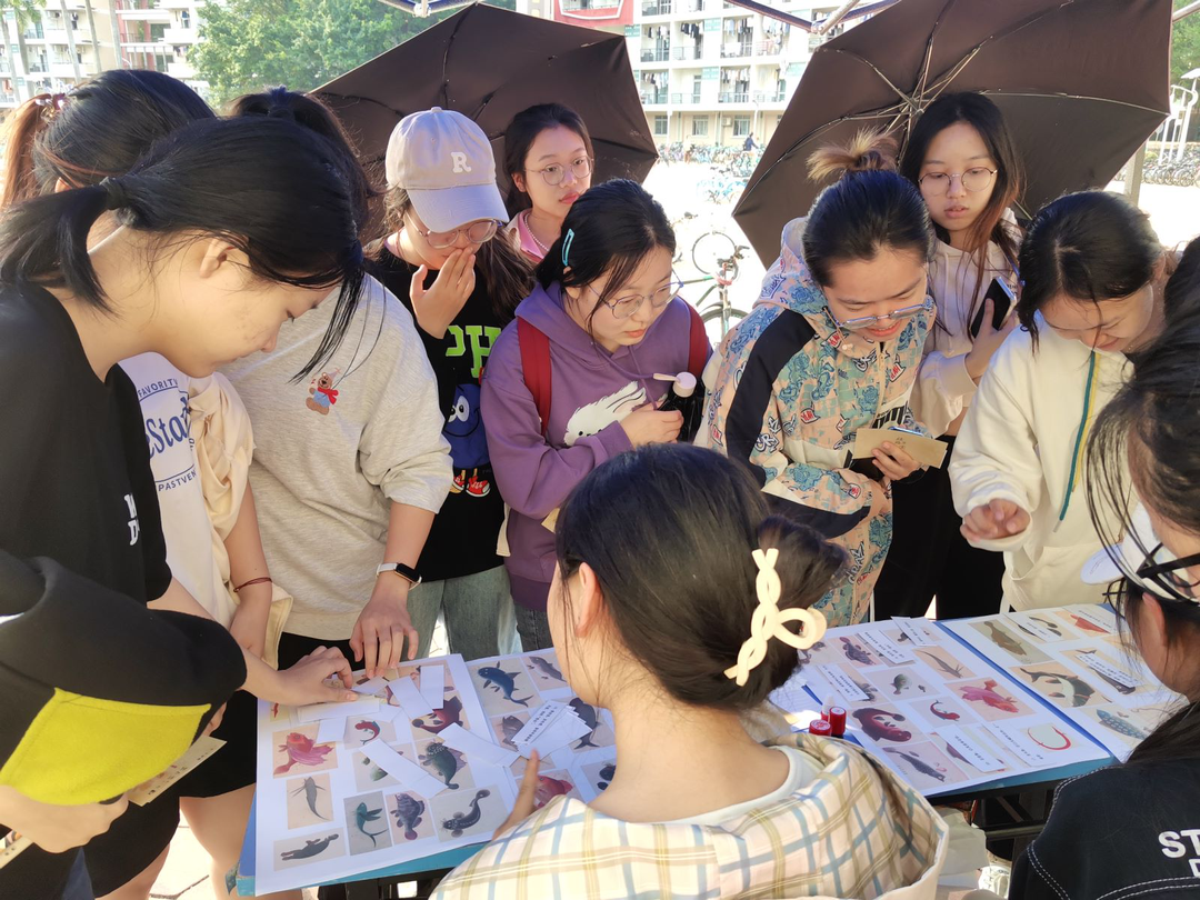 image-20230505165024-9