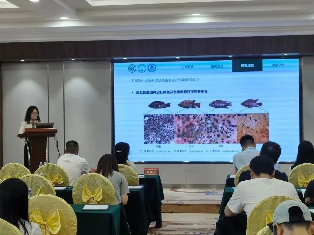 image-20230505171850-1