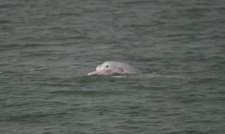 image-20230515191236-2