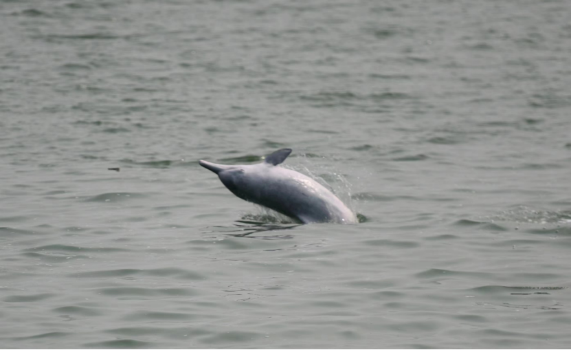 image-20230515191248-3