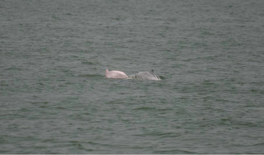 image-20230515191259-4