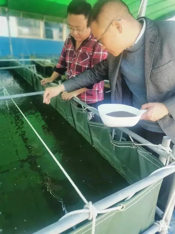 image-20230515193641-6