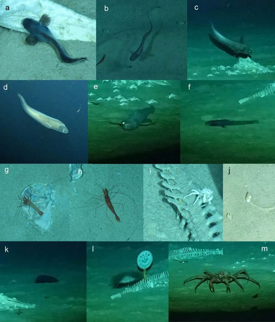 image-20230515202153-7