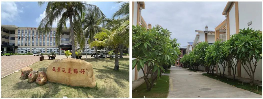 image-20230522184523-3