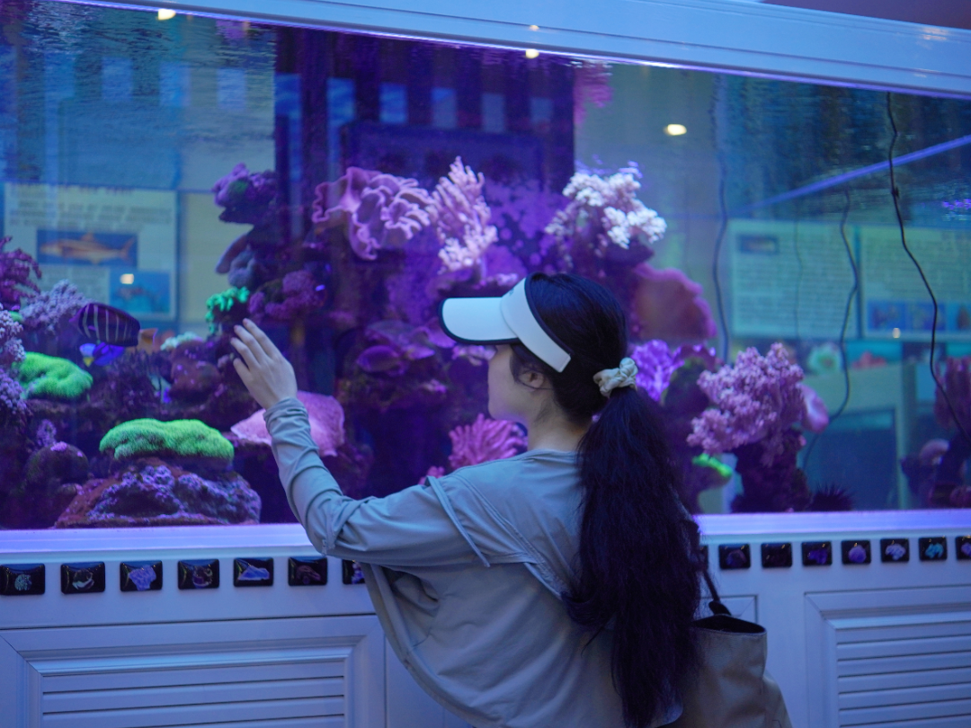 image-20230613132401-3