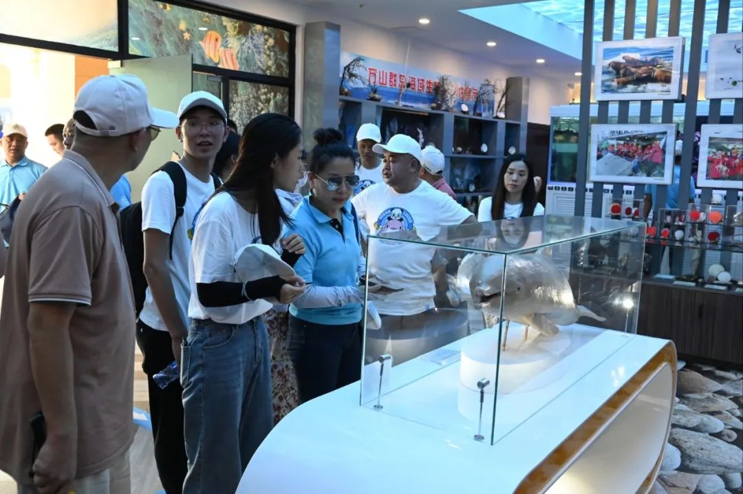 image-20230613132410-4