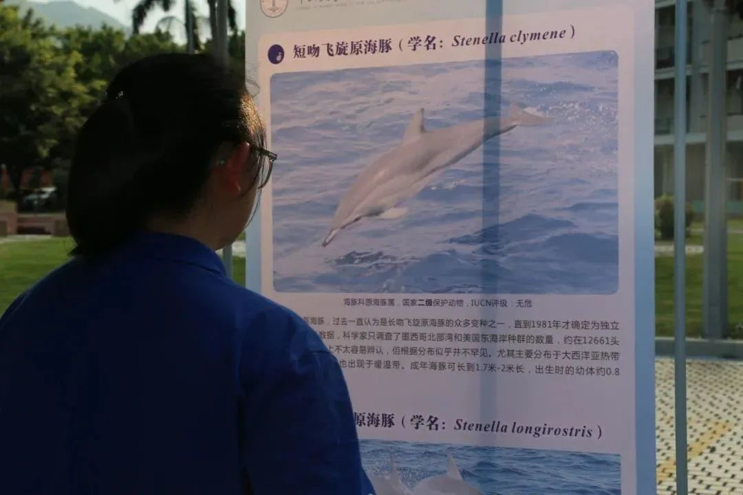 image-20230621000539-6