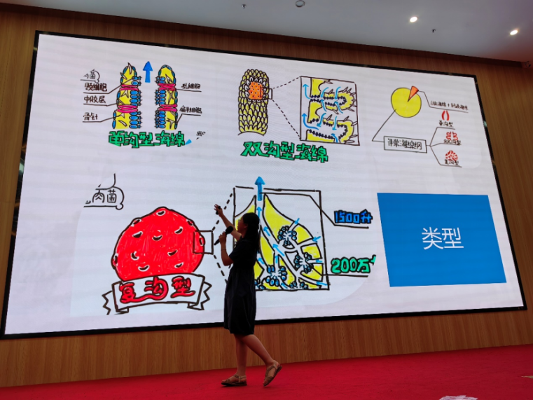 image-20230703124054-9