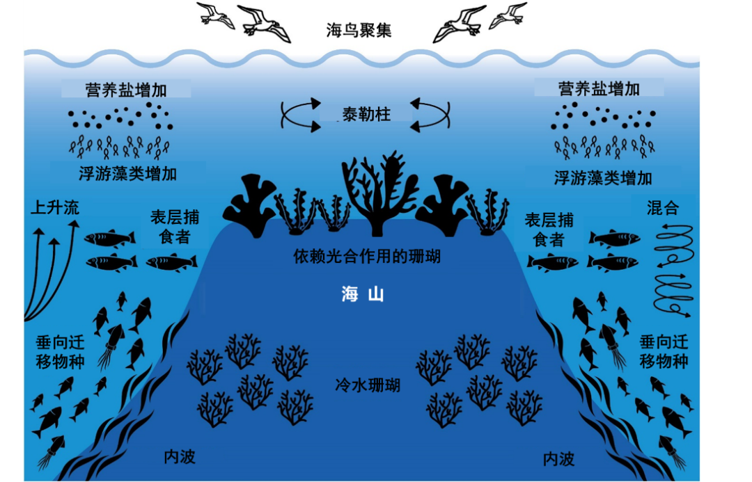 image-20230703135857-3