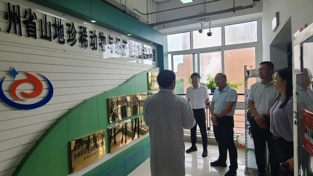 image-20230725170136-3