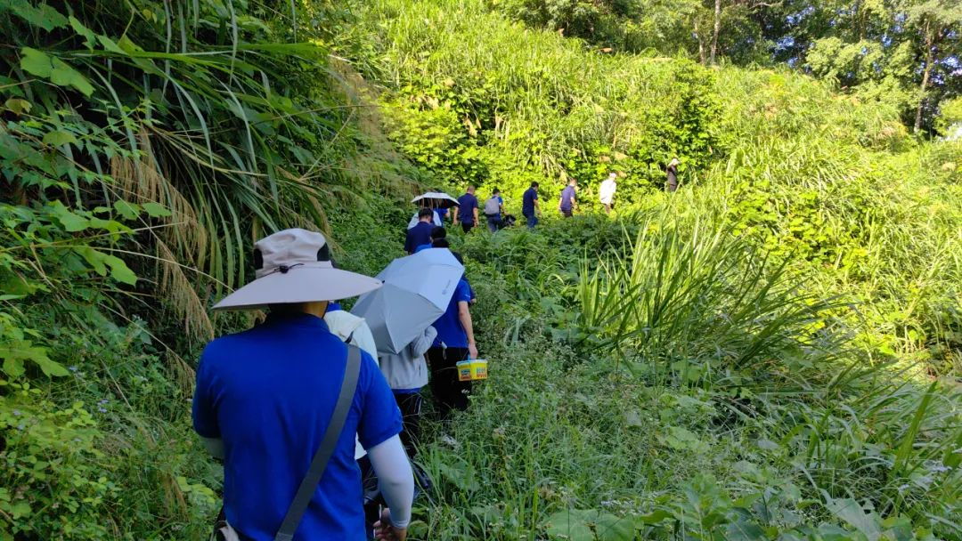 image-20230810145148-18