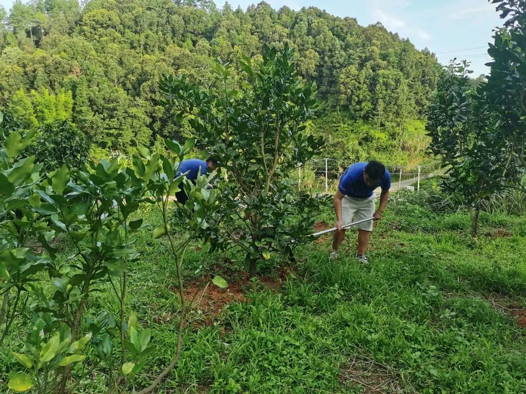 image-20230810152456-23