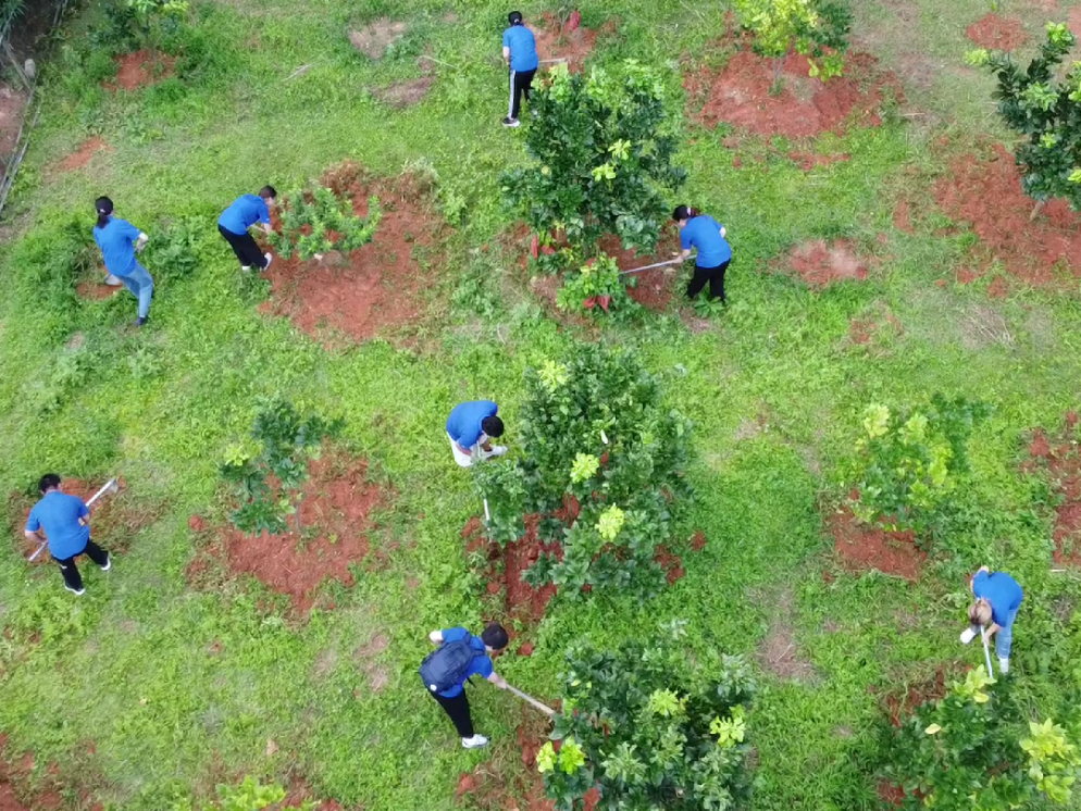 image-20230810152504-24