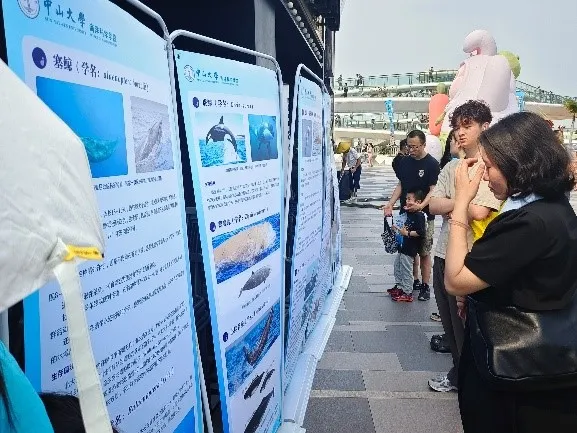 image-20240428104859-3