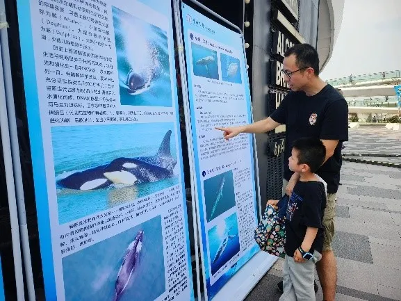 image-20240428104859-4