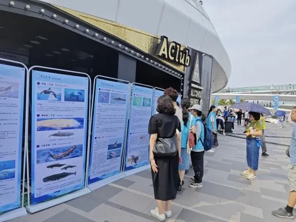 image-20240428104859-5