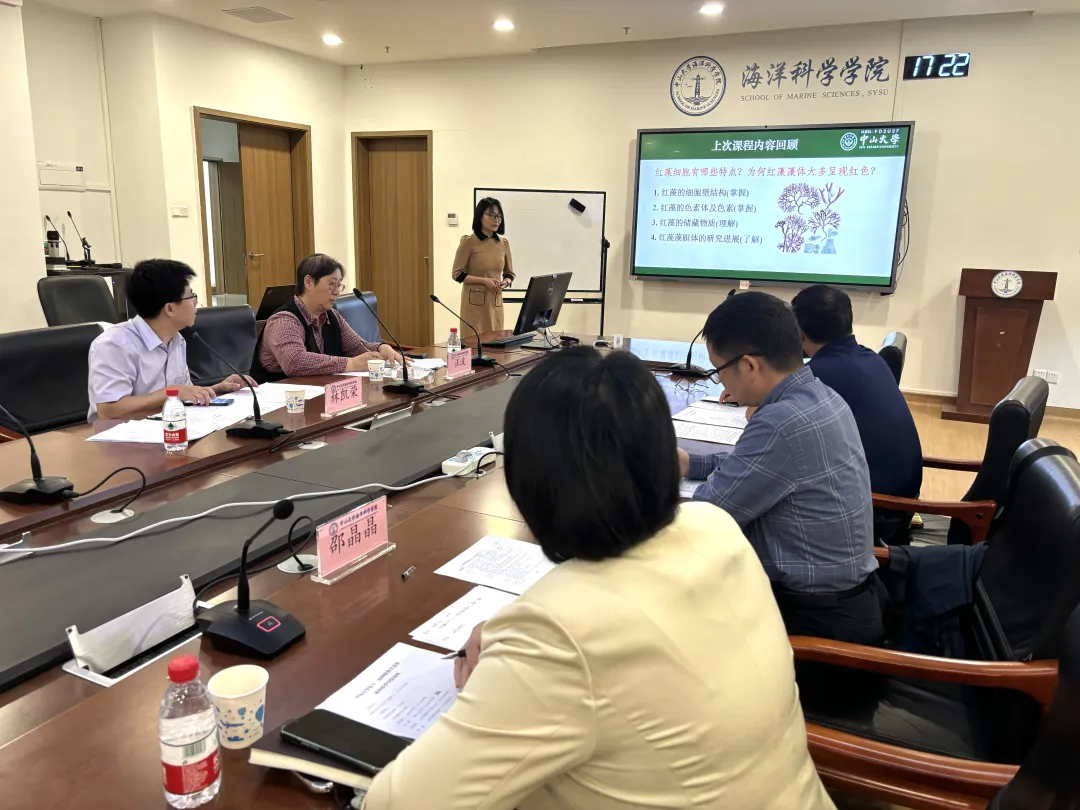 image-20240513094728-5