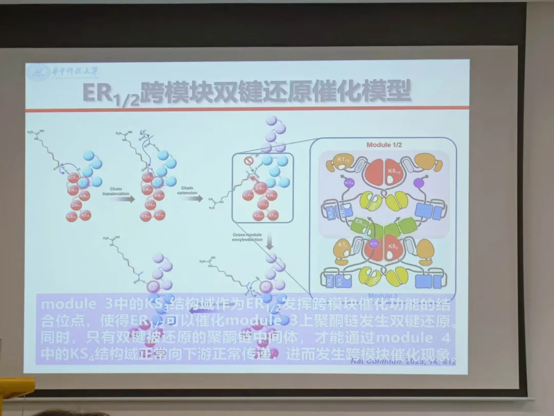 image-20240606231231-3